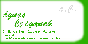 agnes cziganek business card